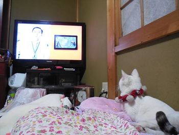 本日　みーこ忘年会