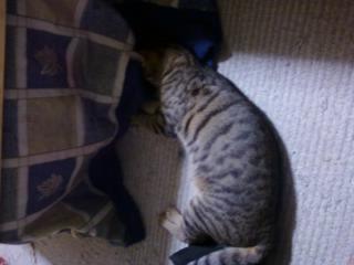 愛ちゃん通信