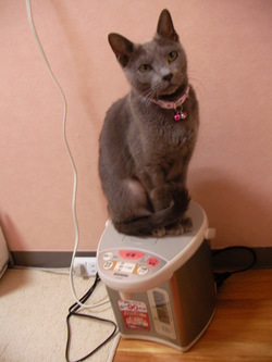 一緒に