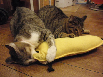 またたびに夢中