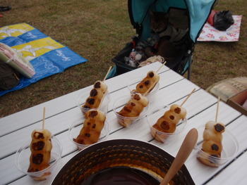 みーこ仲間のピクニック