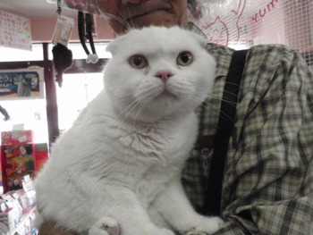 うさぎ＆猫の爪切り