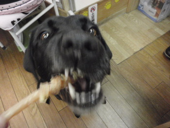 はる　こわ～～