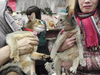 あび家族集合