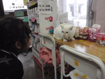 ミカン君＆ちゃめ君
