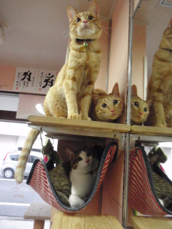 みんな一緒に！