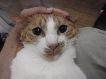 ヒモ　注意！！