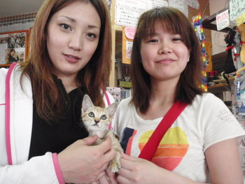 ムギ猫里親体験