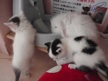 赤ちゃんだよ