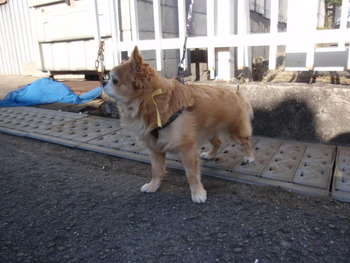 ラックン