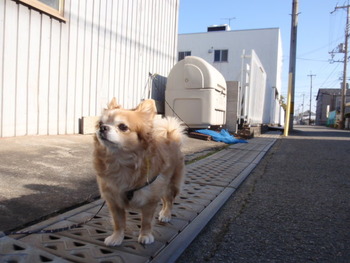 ラックン