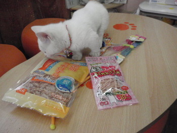 猫好きセット　今だけ！