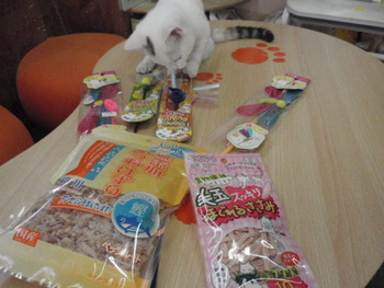 猫好きセット　今だけ！