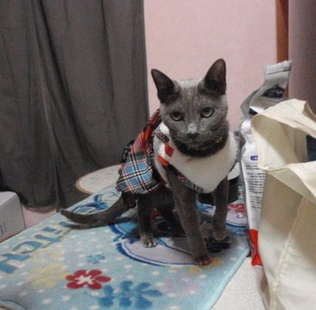 そらって・・・