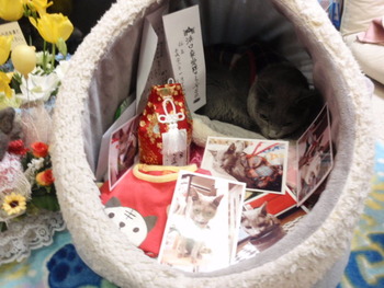 そらを迎えに