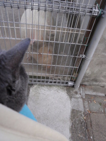 動物園