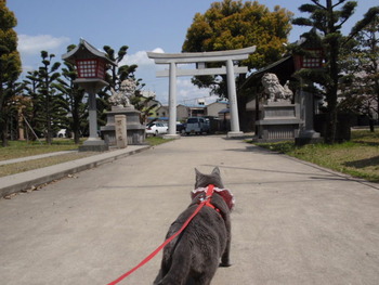 お宮さん