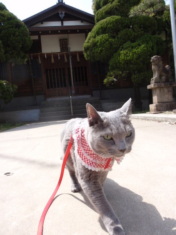 お宮さん