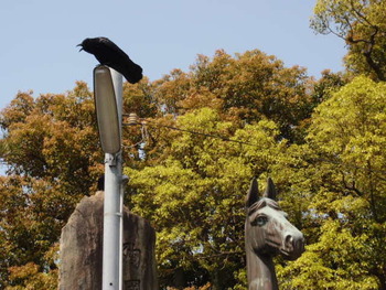 お宮さん