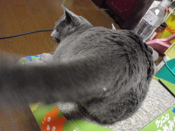 ゆめはもうすぐ