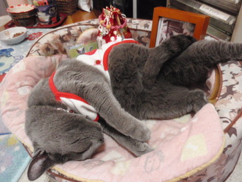 ゆめはもうすぐ