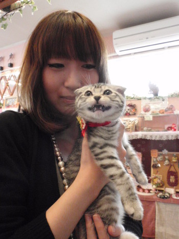 こうめちゃん