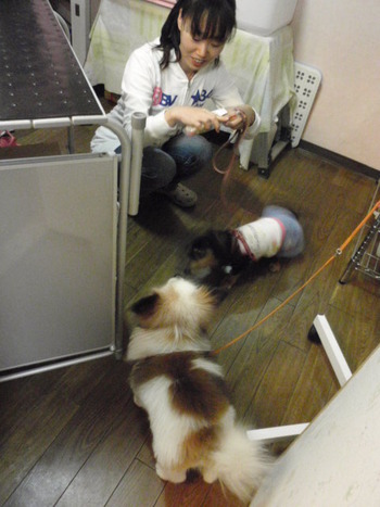 おやつ
