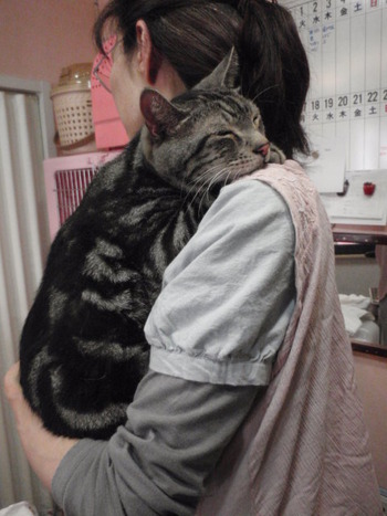 サスケ君