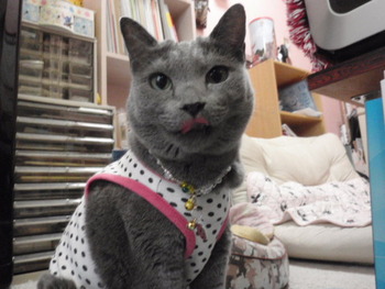ゆめに