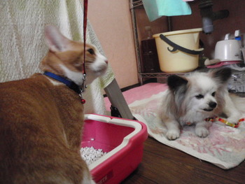 楽しい一日