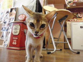 はなちゃん