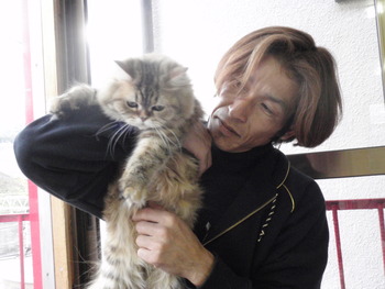 成猫部屋