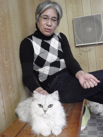 成猫部屋