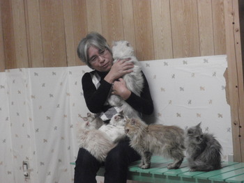 猫カフェ豊八