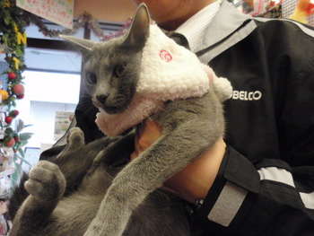 ふわふわマフラー