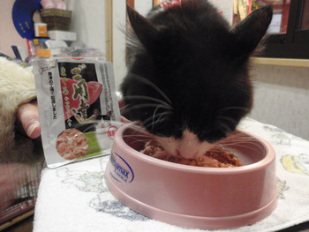 クロちゃん