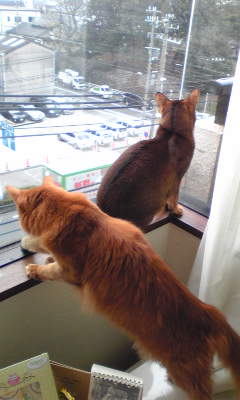 神戸にて