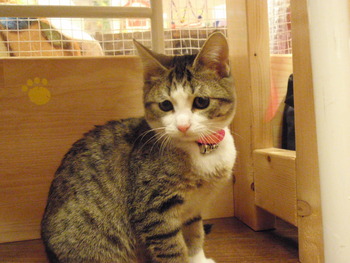 ひなちゃん