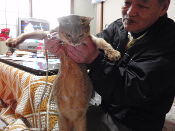 もうすぐ出産