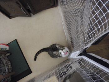 ジャン～プ！