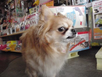 ラックン