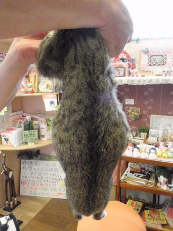 ひなママ