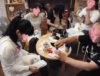 ねこンパ♪
