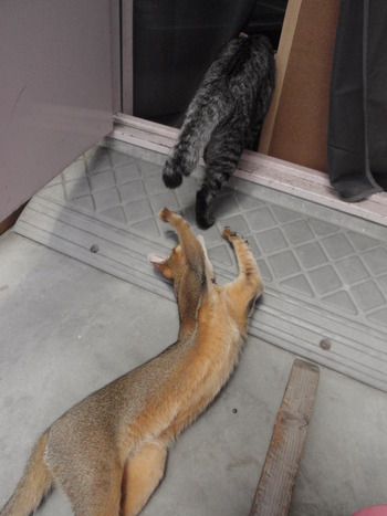 行かないで～ぇ！
