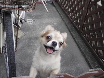 ラックン