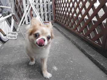 ラックン