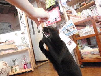 おやつ