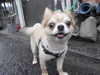 ラックン