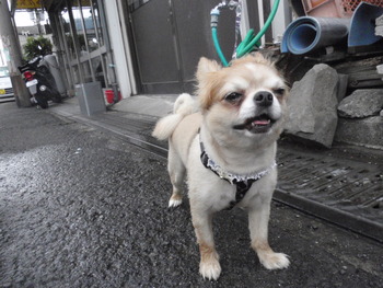 ラックン