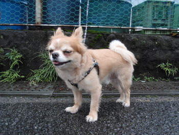 ラックン
